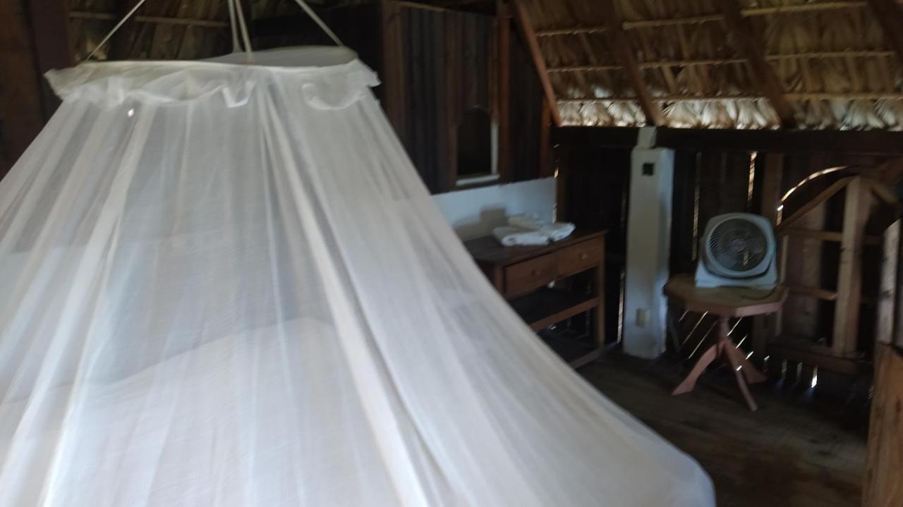 Hotel Shambhala Vision Zipolite Zewnętrze zdjęcie