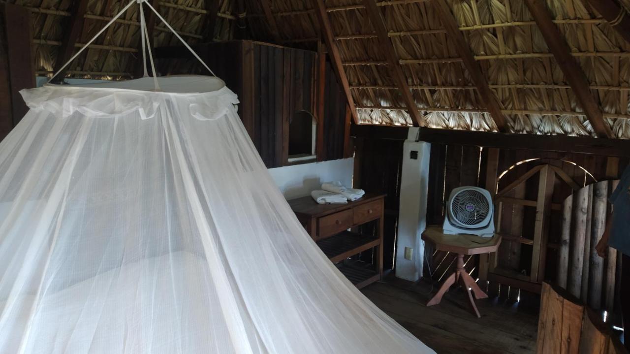 Hotel Shambhala Vision Zipolite Zewnętrze zdjęcie