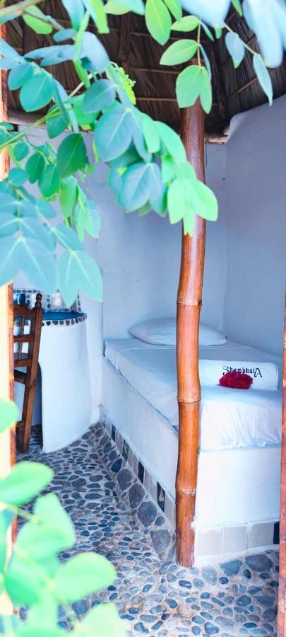 Hotel Shambhala Vision Zipolite Zewnętrze zdjęcie